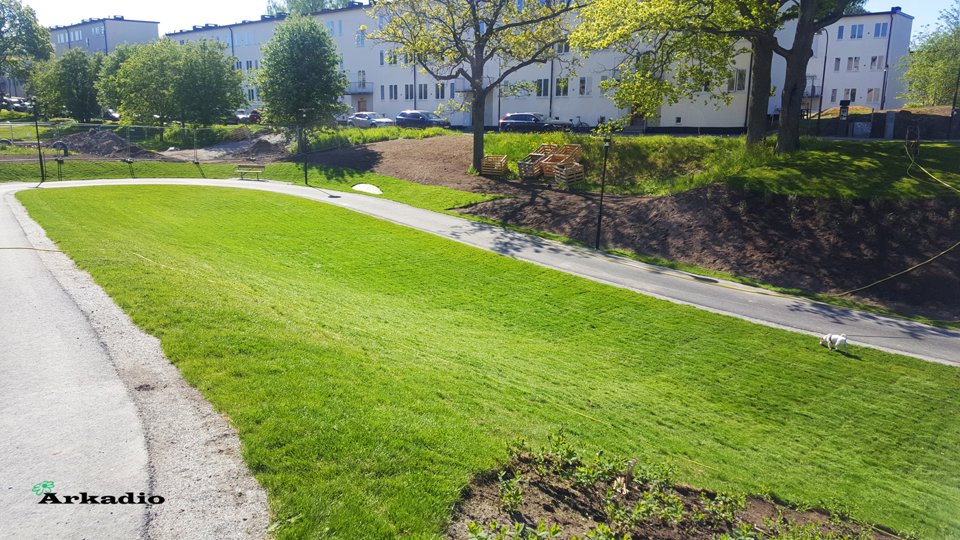 Gräsklippning 